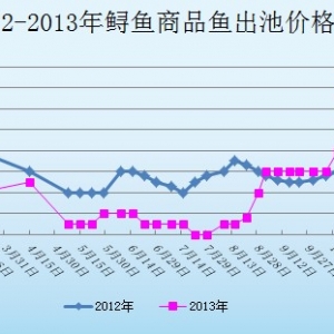 2013��11��19��ɽ�|ұԭ�؅^(q��)�\�~(y��)�r(ji��)������