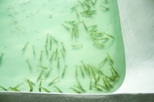 �N���|(zh��)�����x�ش� ˮ�a(ch��n)�N���ИI(y��)ؽ��Ҏ(gu��)��