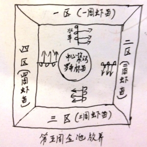 Խ�����B(y��ng)ֳģʽ����EMS�@�óɹ����ϣ�