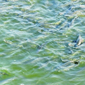 2013�����������~���Ј�(ch��ng)����c˼��