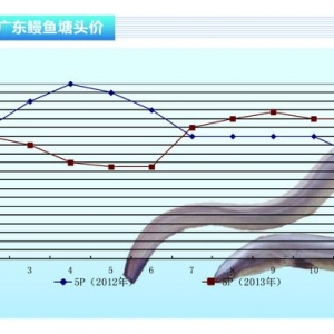 ���~���r�������µ�����ˮ�a(ch��n)ǰ�ء�2014��1�¿��Ј�څ��