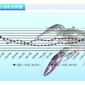 С���r�������½� �r���ϝq ����ˮ�a(ch��n)ǰ�ء�2014��1�¿��Ј�څ��