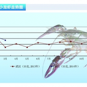 С���r�������ܵ� �r���½�����ˮ�a(ch��n)ǰ�ء�2014��4�¿��Ј�څ��