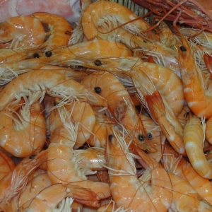 2014��ȫ��?q��)��r�Ј�(ch��ng)�A(y��)�y(c��)����