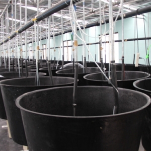 ��(gu��)(li��n)�r��y�ֽB�d�R���r(n��ng)�I(y��)�M(j��n)܊�A�|