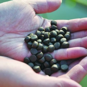 �����|�B(y��ng)ֳȫ��Ͷ�ϫ@ͻ��