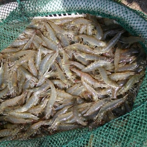 2014����}�㌦(du��)�r�����B(y��ng)ֳ��r