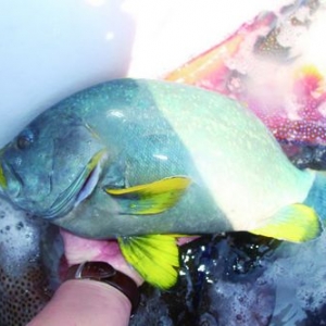 ���M(j��n)�R������̽�L����O�I(y��)