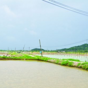 �V�|��(du��)�r�����B(y��ng)ֳ�������o(w��)���D(zhu��n)