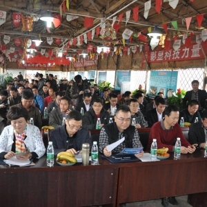 ͨ����2015ˮ�a(ch��n)��N�Ƽ�Փ�����A�M��Ļ��