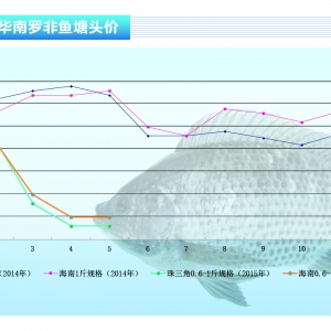 �_���~�����Q(m��o)������ �����~�r(ji��)�y�q������ˮ�a(ch��n)ǰ�ء�2015��6�¿��Ј�څ��(sh��)