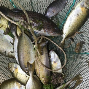 ��(d��ng)�����o(j��)���������ϡ��e�Ҳ�һ�������Y(ji��)����ʯ���~ȫ܊���]