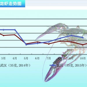 С���r�վ��������p �ۃr�����½�������ˮ�a(ch��n)ǰ�ء�2015��11�¿��Ј�څ��
