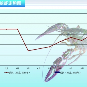 С���r����؛�F(xi��n)���?q��)����m(x��)������(ji��)�^�󡪡���ˮ�a(ch��n)ǰ�ء�2016��2�¿��Ј�څ��