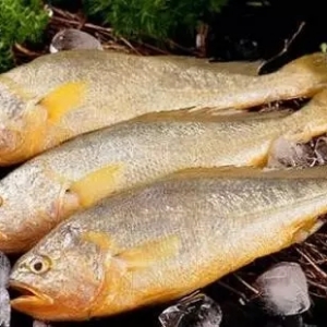 ُ(g��u)�Nָ��|�͜�Ӱ�������S�~���p�a(ch��n)4����r(ji��)�ϝq40-50%