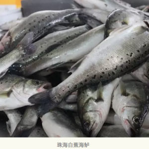 ���Ѱ׽����|Ʒ�ƻ� �@�����^��I(y��)������ʲô