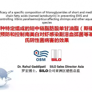 ���ƌ��rEMS��˹�����V���P(gu��n)�I�c������