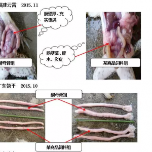 ţ���c��׃�������L�����������������������@�c(di��n)�|��