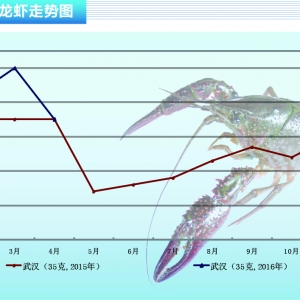 С���r���Ј�����������޷����� �r���ϓP ������ˮ�a(ch��n)ǰ�ء�2016��5�¿��Ј�څ��