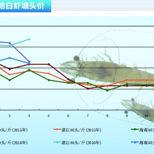 ���r�����M(f��i)����ƽ�� �����r�rڅ���»�������ˮ�a(ch��n)ǰ�ء�2016��5�¿��Ј�څ��