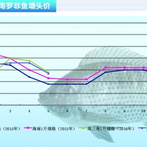 �_���~�����N����  �~�r(ji��)�^�m(x��)�»�������ˮ�a(ch��n)ǰ�ء�2016��6�¿��Ј�(ch��ng)څ��(sh��)