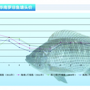 �_���~������(y��ng)���� �~�r(ji��)�����؝q�С�����ˮ�a(ch��n)ǰ�ء�2016��8�¿��Ј�(ch��ng)څ��(sh��)