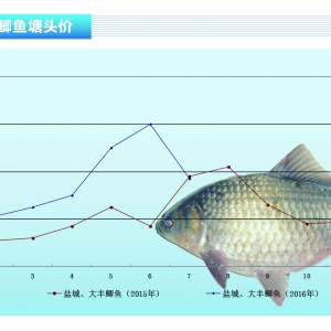 �a�~���A(y��)�y8�������ԾS�֬F(xi��n)�����������ˮ�a(ch��n)ǰ�ء�2016��8�¿��Ј�څ��