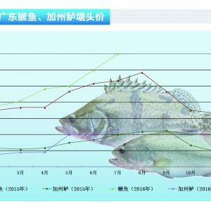 �Z�~�����ֵ؅^(q��)��(bi��o)�Z����50Ԫ/�����ˮ�a(ch��n)ǰ�ء�2016��8�¿��Ј�(ch��ng)څ��(sh��)