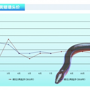 �S�X���ܞ�(z��i)��Ӱ� �~�r�����^�󡪡���ˮ�a(ch��n)ǰ�ء�2016��8�¿��Ј�څ��