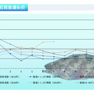 ʯ���~���~�r���� �B(y��ng)ֳ��ϧ�������(y��n)�ء�����ˮ�a(ch��n)ǰ�ء�2016��8�¿��Ј�څ��