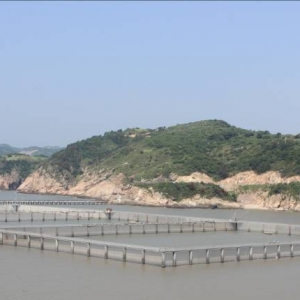 �O�I(y��)ǰ�أ����M(j��n)�������x���B(y��ng)ֳ���W(w��ng)