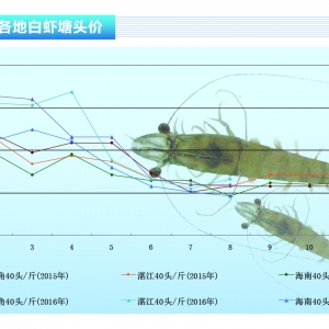 ���r���Ј�����u�� �r�r�����ϝq������ˮ�a(ch��n)ǰ�ء�2016��9�¿��Ј�څ��