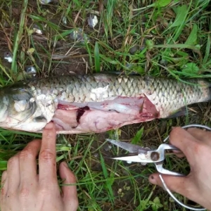 ��ϵ��׺���Խ��Խ�ã�֬���ο��]�^����