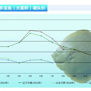 �����ң��������½� �p��(ji��)���Ӄr�����ߡ�����ˮ�a(ch��n)ǰ�ء�2016��10�¿��Ј�څ��