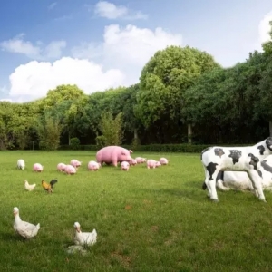 �@�Ҍ�ע���в�ˎ��ȡ�����I(y��)���Ϋ@�ñ��������I(y��)����A��