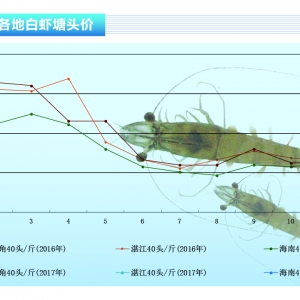 ��(du��)�r������(ji��)���� �����r�r(ji��)�R�q������ˮ�a(ch��n)ǰ�ء�2017��2�¿��Ј�څ��(sh��)