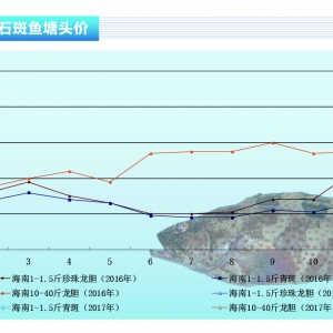 ʯ���~���r(ji��)����m(x��)��ã�����(ji��)��ֻ��{(di��o)������ˮ�a(ch��n)ǰ�ء�2017��2�¿��Ј�څ��