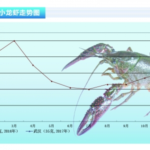 С���r���Ј��r(ji��)��o���@�q��������ˮ�a(ch��n)ǰ�ء�2017��3�¿��Ј�څ��