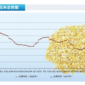���ף��F(xi��n)؛�q��(sh��)�ž� �ϱ��ۿڃr(ji��)�񵹒졪����ˮ�a(ch��n)ǰ�ء�2017��4�¿��Ј�(ch��ng)څ��(sh��)