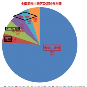 �B�Ƹ����q�B(y��ng)ֳ���d�D(zhu��n)˥�ı��󾿾����e(cu��)��ʲô��