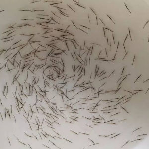 �qһƬ��߀Ҫ���(du��)�I�磬�߹�(ji��)��(du��)�r���ǳ���߀������Ј�(ch��ng)��ȱ��