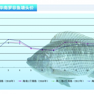 �_���~���ӹ��S���Q(m��o)ӆ���� �~�r(ji��)���{(di��o)������ˮ�a(ch��n)ǰ�ء�2017��5�¿��Ј�(ch��ng)څ��(sh��)