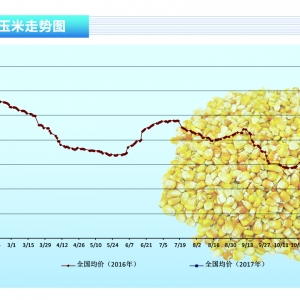 ���ף�������Ϣ����ų� �Ј�(ch��ng)�M(j��n)�벩�Ġ�B(t��i)������ˮ�a(ch��n)ǰ�ء�2017��5�¿��Ј�(ch��ng)څ��(sh��)