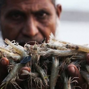 ��ʲôȫ��?q��)��r�a(ch��n)�����m(x��)�½����ǲ�����ԭ��߀�ǷN�������׃ů����ϵ�ԭ��