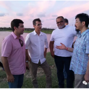 �S��Մ�҇����r�B(y��ng)ֳ���������΄ݺ�����(zh��n)�����M(j��n)չ