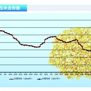 ���ף����u������ �r(ji��)��(qi��ng)��(sh��)�ϝq������ˮ�a(ch��n)ǰ�ء�2017��6�¿��Ј�(ch��ng)څ��(sh��)