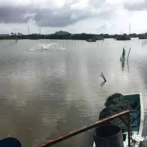 ��������β��һ�B(y��ng)ֳ��(ch��ng)�����¶������r�M�����װ��f(w��n)Ͷ�뚧��һ��