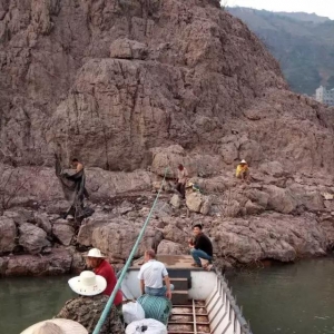 ��ɽ��ɳ��2-3�|Ԫ�W(w��ng)���⏊(qi��ng)���B(y��ng)ֳ����������