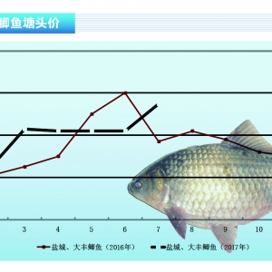 �a�~�����M(f��i)��������(d��ng)7�r(ji��)���j��������ˮ�a(ch��n)ǰ�ء�2017��8�¿��Ј�(ch��ng)څ��(sh��)