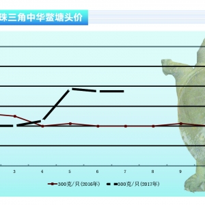 ���~��7�¸ߜؼ���(ji��)�M(j��n)����~���M����������ˮ�a(ch��n)ǰ�ء�2017��8�¿��Ј�څ��